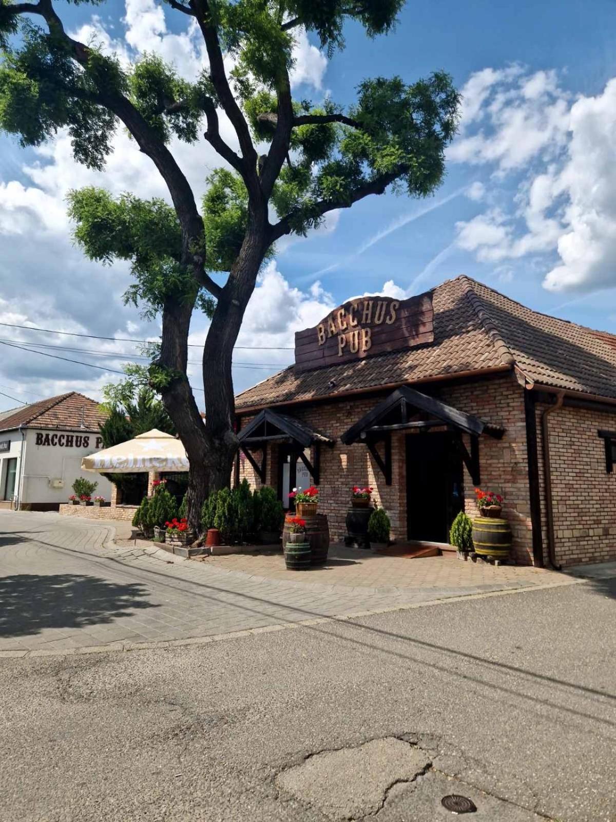 Bacchus Pub Es Panzio Bed & Breakfast Dunaharaszti Exterior photo